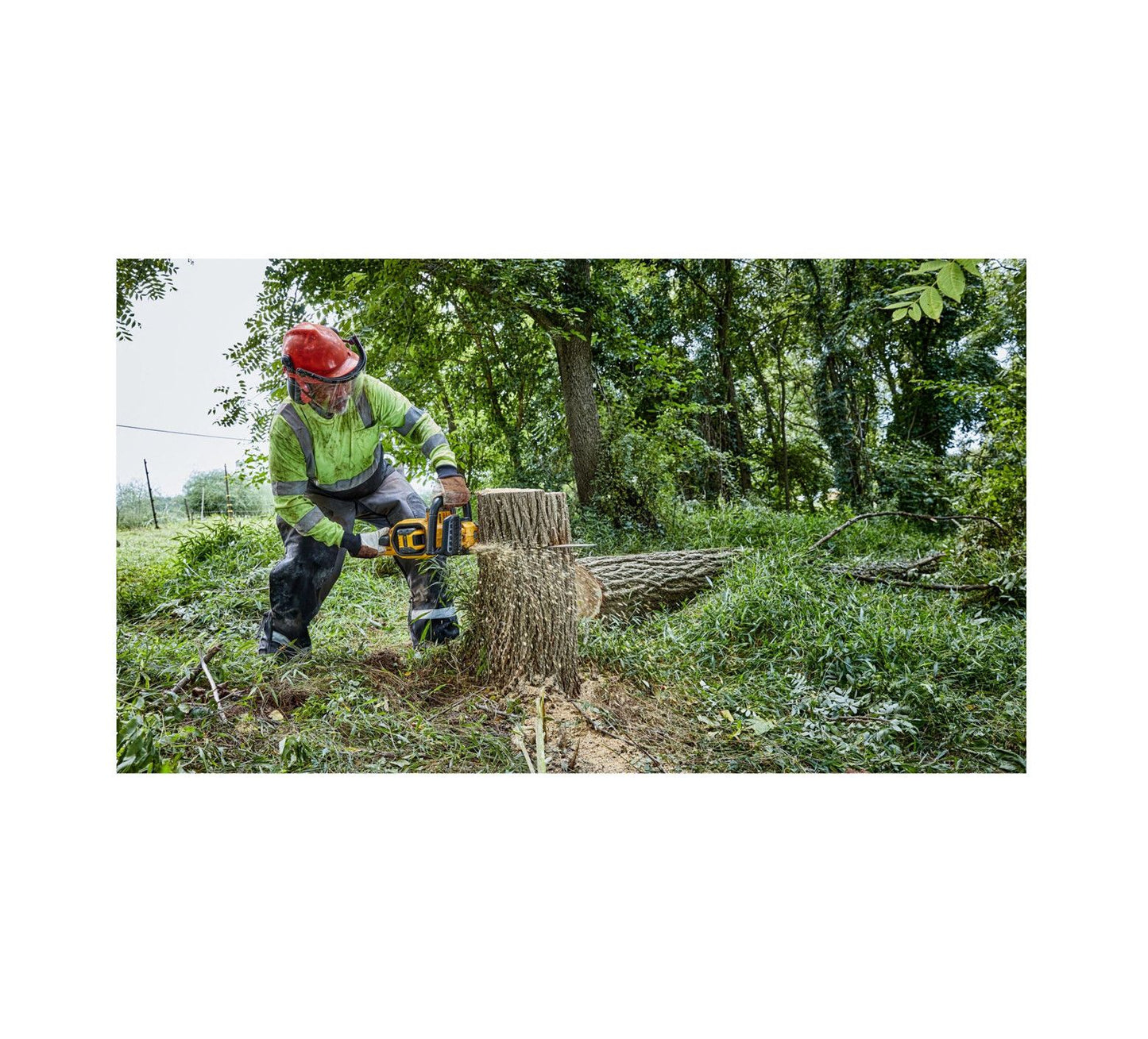 Tronçonneuse 45cm + Batterie Flexvolt 9Ah + Chargeur Dewalt DCMCS574X1