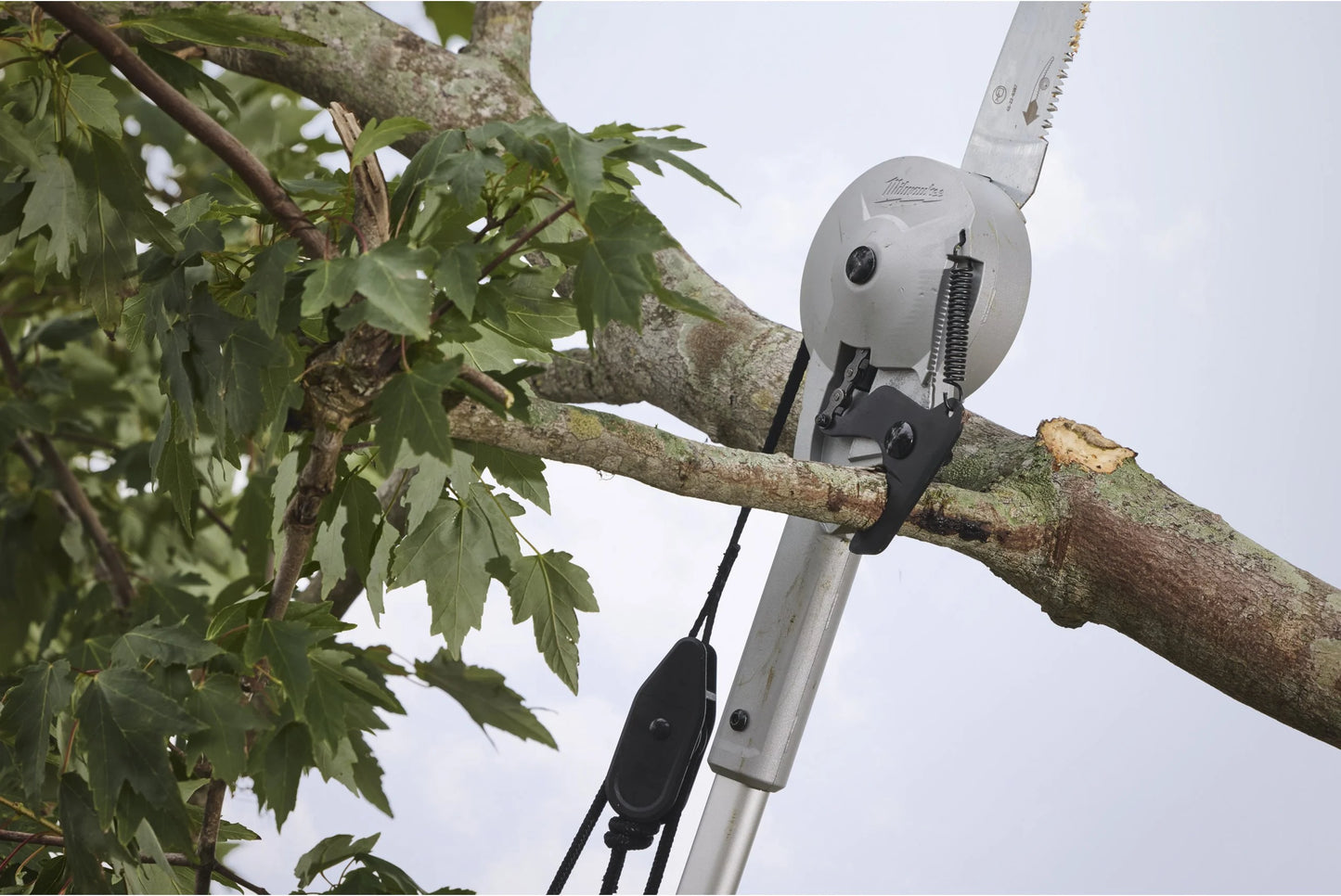 Sécateur sur perche avec scie Milwaukee