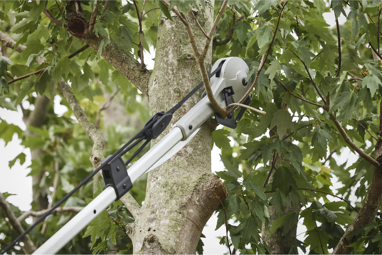 Sécateur sur perche avec scie Milwaukee