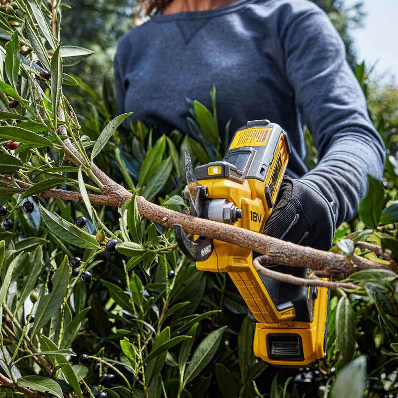 Sécateur portatif Dewalt XR 18 V avec batterie et chargeur DCMPP568P1
